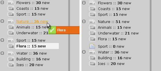 Dragging the "Flora" album from "Sport" shelf into the "Nature" (left) and the tree after drag-and-drop (right).
