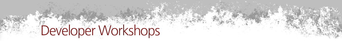 Community workshops for JBoss projects